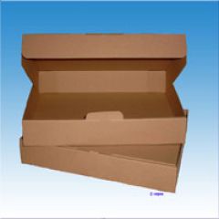 300 Maxibrief Karton 250 mm x 175 mm x 50 mm